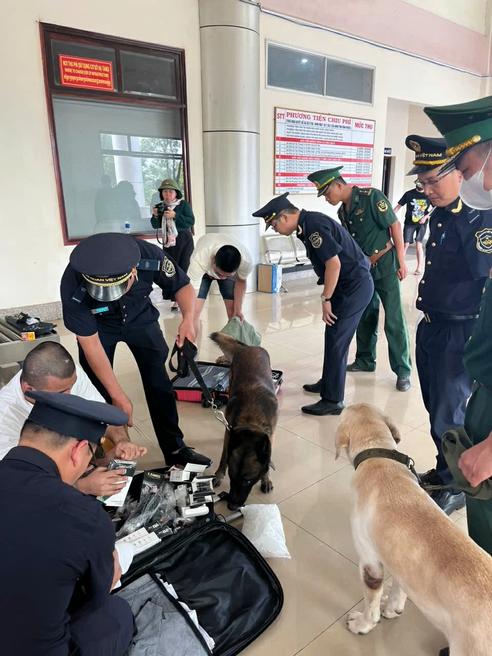 344 citizens repatriated from scam hubs: A wake-up call on “easy job, high pay” schemes