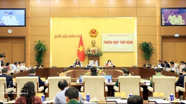 Resolution announcing results of 16th National Assembly election adopted