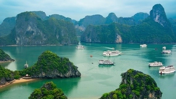 Heritage becomes a bridge connecting Quang Ninh to the world