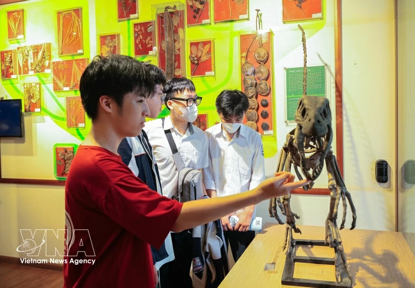 Students visit the Vietnam National Museum of Nature in Hanoi. (Photo: VNA)