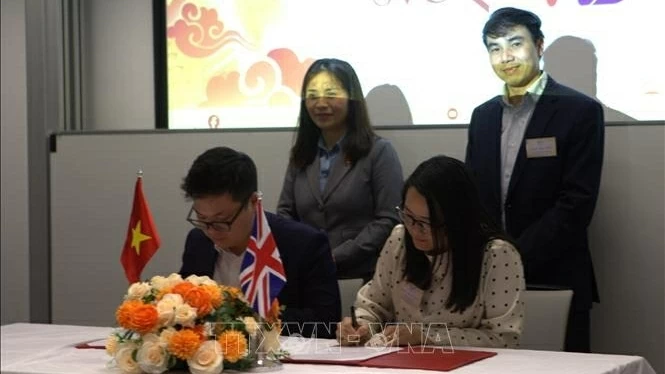 Building a Vietnamese knowledge ecosystem in the UK