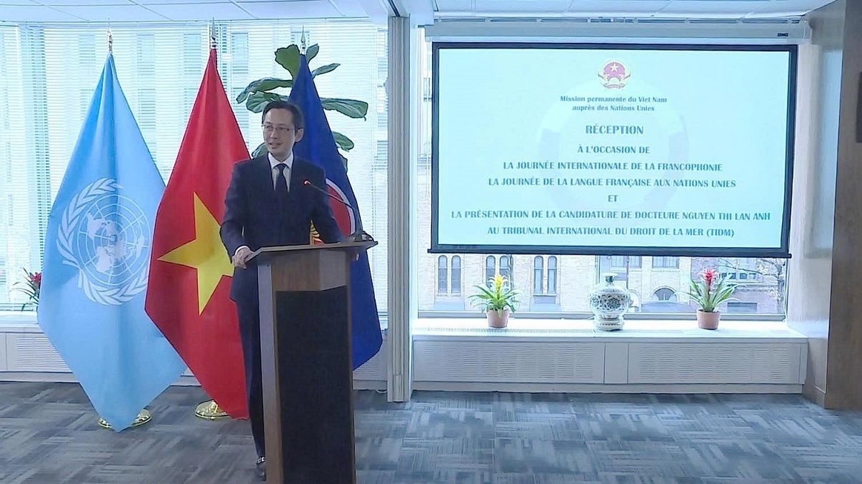 Vietnam actively contributes to strengthening cooperation and solidarity in the Francophone community