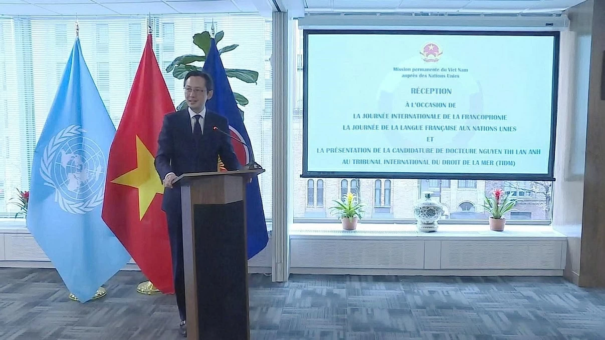 Vietnam actively contributes to strengthening cooperation and solidarity in the Francophone community Vietnam actively contributes to strengthening cooperation and solidarity in the Francophone community