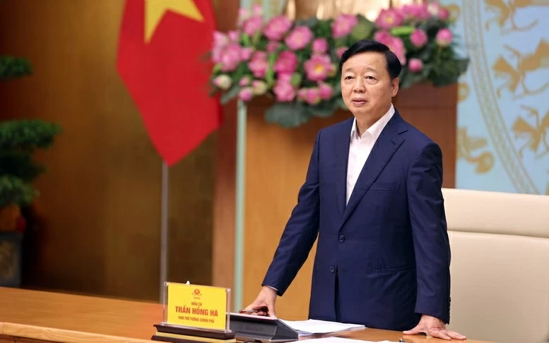 Combat IUU Fishing: Deputy Prime Minister Tran Hong Ha calls for addressing issues raised by EC's IUU inspection team Combat IUU Fishing: Deputy Prime Minister Tran Hong Ha calls for addressing issues raised by EC's IUU inspection team