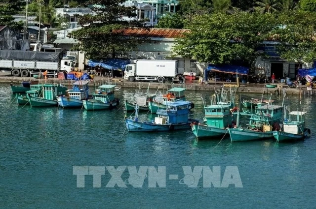 Combat IUU Fishing: An Giang steps up action in line with EC recommendations Combat IUU Fishing: An Giang steps up action in line with EC recommendations