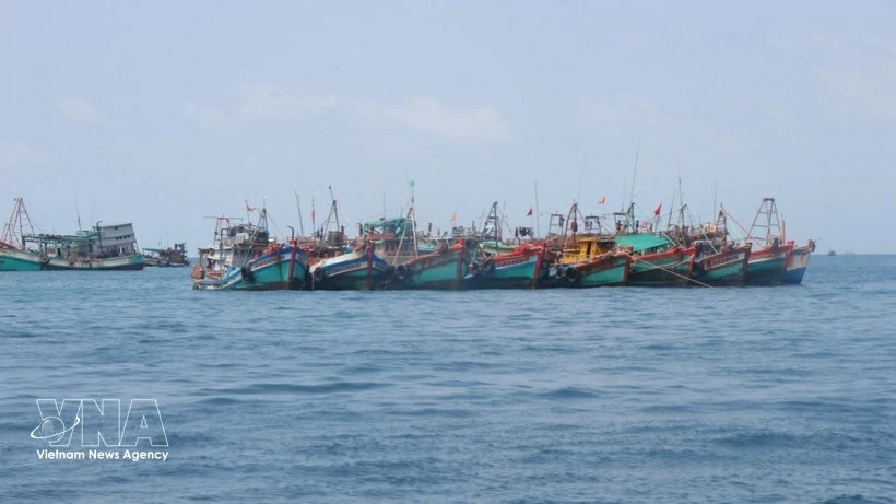 Combat IUU Fishing: Lam Dong ramps up IUU fishing crackdown, closely following EC recommendations Combat IUU Fishing: Lam Dong ramps up IUU fishing crackdown, closely following EC recommendations