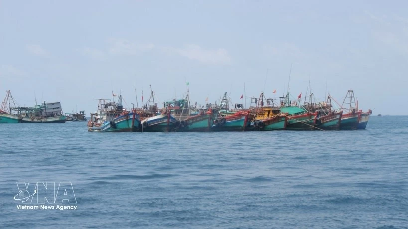 Lam Dong tightens IUU fishing controls in push to lift EU 'yellow card'