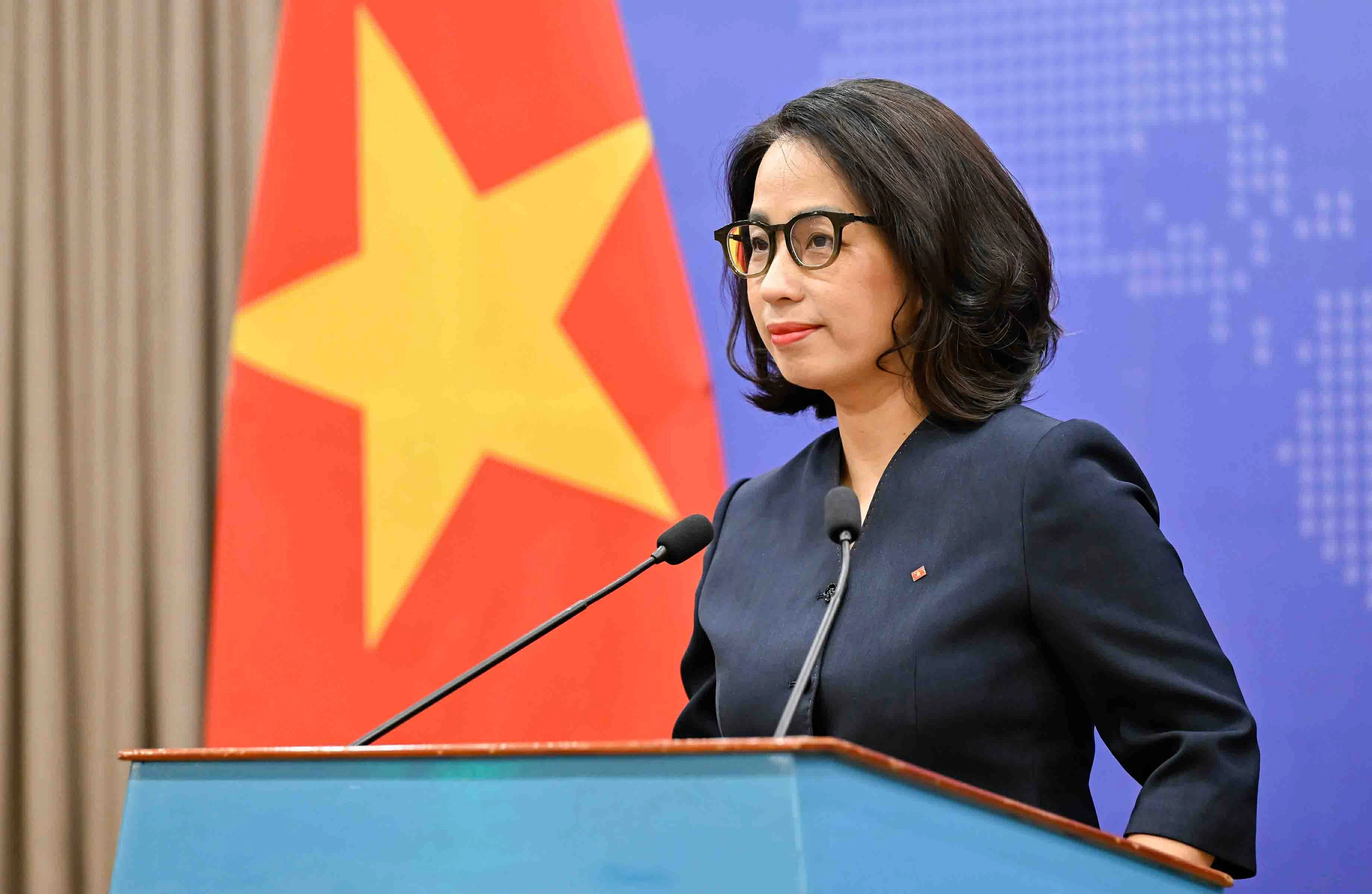 MOFA provides information on Vietnamese ships passing through the Strait of Hormuz