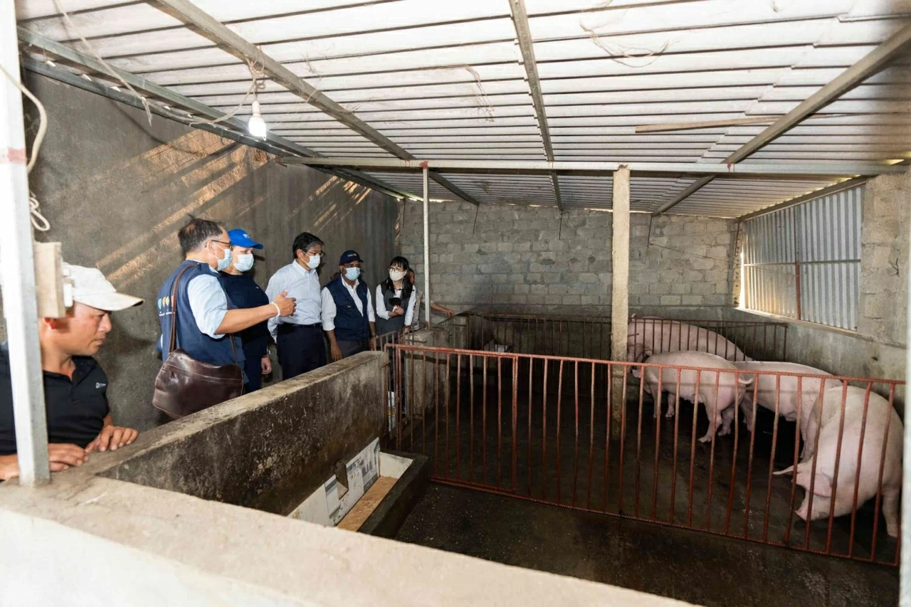Đại sứ quán Nhật Bản, IOM và FAO thúc đẩy hợp tác về Sáng kiến 'Một sức khỏe' và tăng cường khả năng chống chịu của cộng đồng