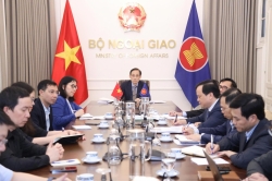 Second Special ASEAN Foreign Ministers’ Meeting on the Middle East convened online