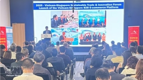 Vietnam, Singapore promote green economic cooperation, sustainable trade