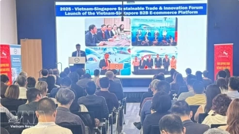 Vietnam, Singapore promote green economic cooperation, sustainable trade