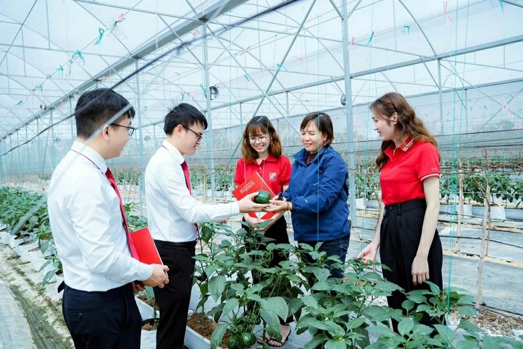 Spreading low-cost capital, Agribank creates new momentum for growth