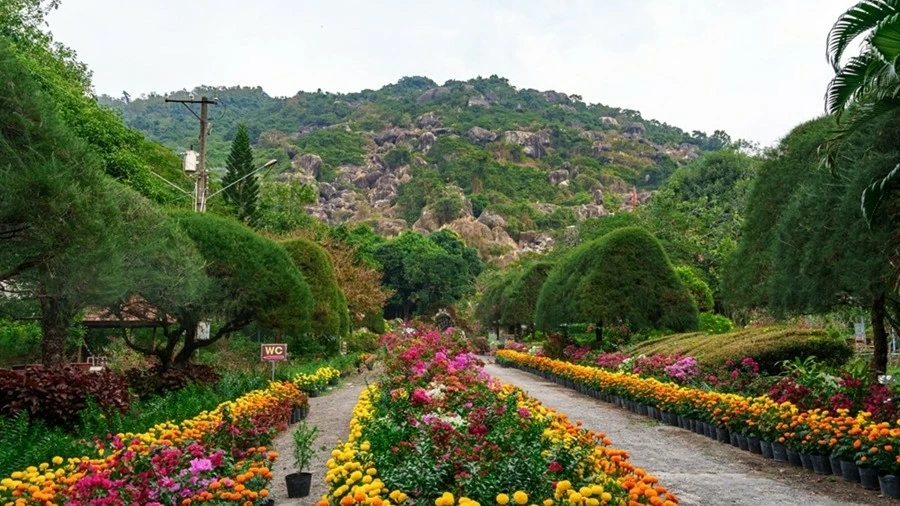 Tuc Dup hill in April: Awakening the great forest with a symphony of peace