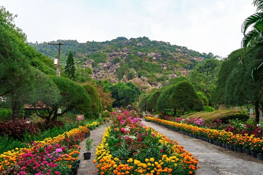 Tuc Dup hill in April: Awakening the great forest with a symphony of peace
