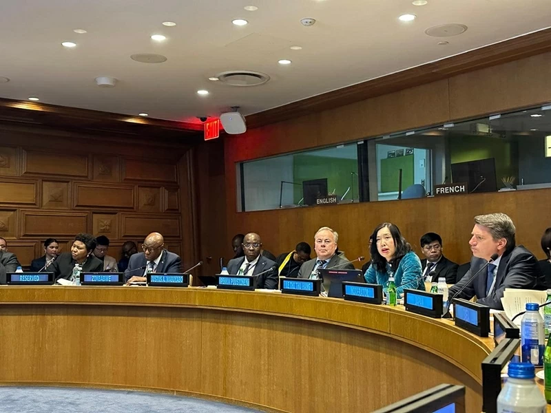 Vietnam chairs seminar on peaceful use of nuclear energy on the sidelines of the 11th NPT Review Conference Vietnam chairs seminar on peaceful use of nuclear energy on the sidelines of the 11th NPT Review Conference