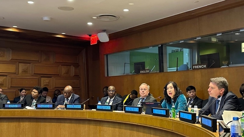 Vietnam chairs seminar on peaceful use of nuclear energy on the sidelines of the 11th NPT Review Conference