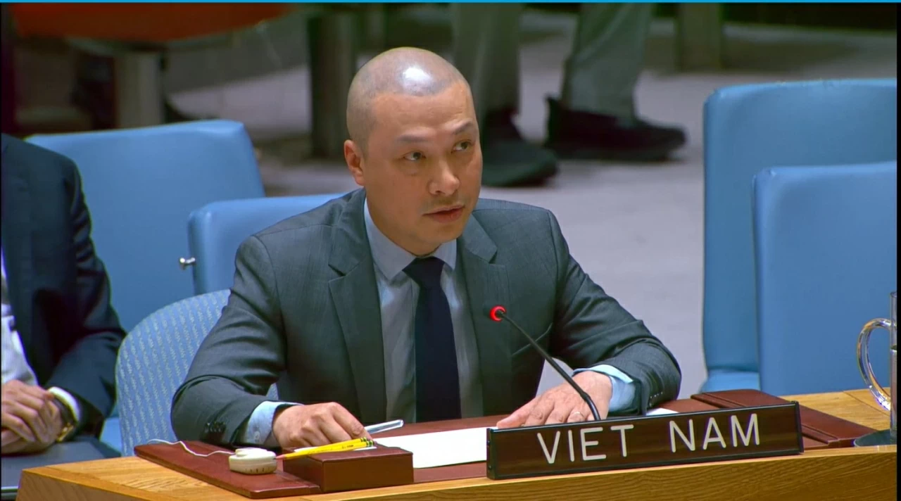 Vietnam urges de-escalation, protection of civilians, and support for two-state solution at UNSC: Diplomat Nguyen Hoang Nguyen