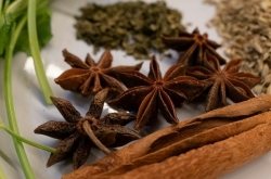 Exhibition on the global journey of Vietnamese spices in Switzerland