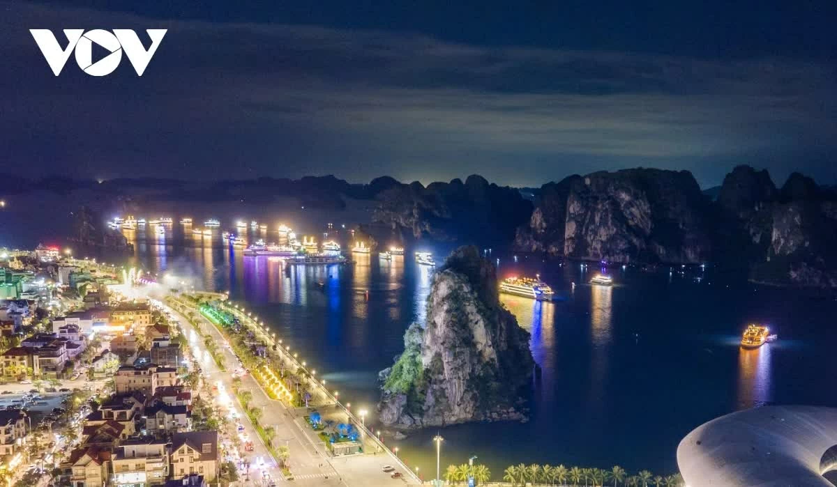 A dazzling visual spectacle lights up the sea