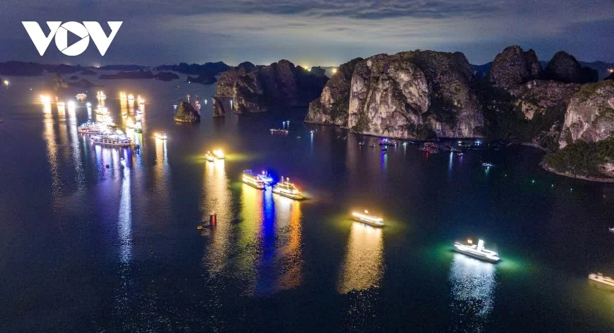 A dazzling visual spectacle lights up the sea