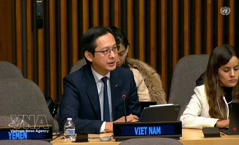 Vietnam calls for solidarity in support of Cuba at NAMs Ambassadorial Meeting