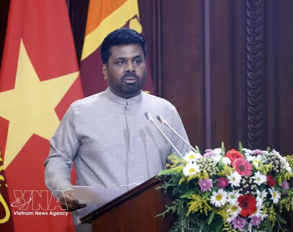 Vietnam, Sri Lanka leaders meet the press, announce upgrade of ties to Comprehensive Partnership