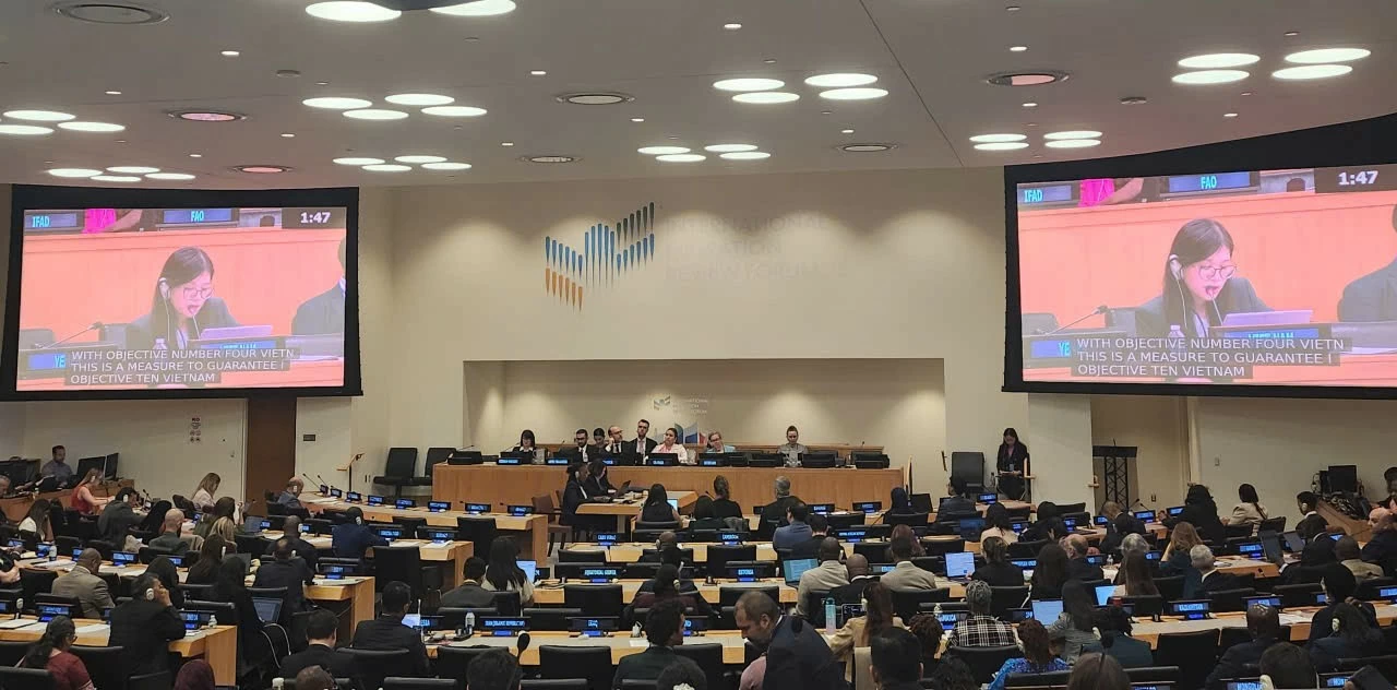 Vietnam upholds balanced, human-centered migration governance