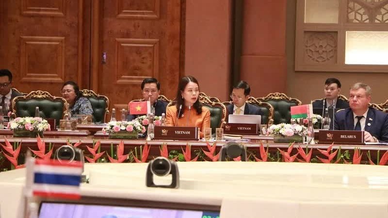 Vietnam ready to promote dialogue and cooperation between BRICS and Asia-Pacific: Deputy FM Nguyen Minh Hang