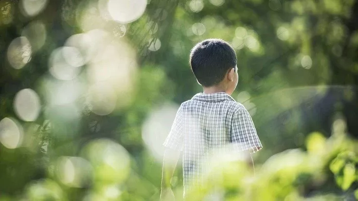 Childhood cannot grow up with violence