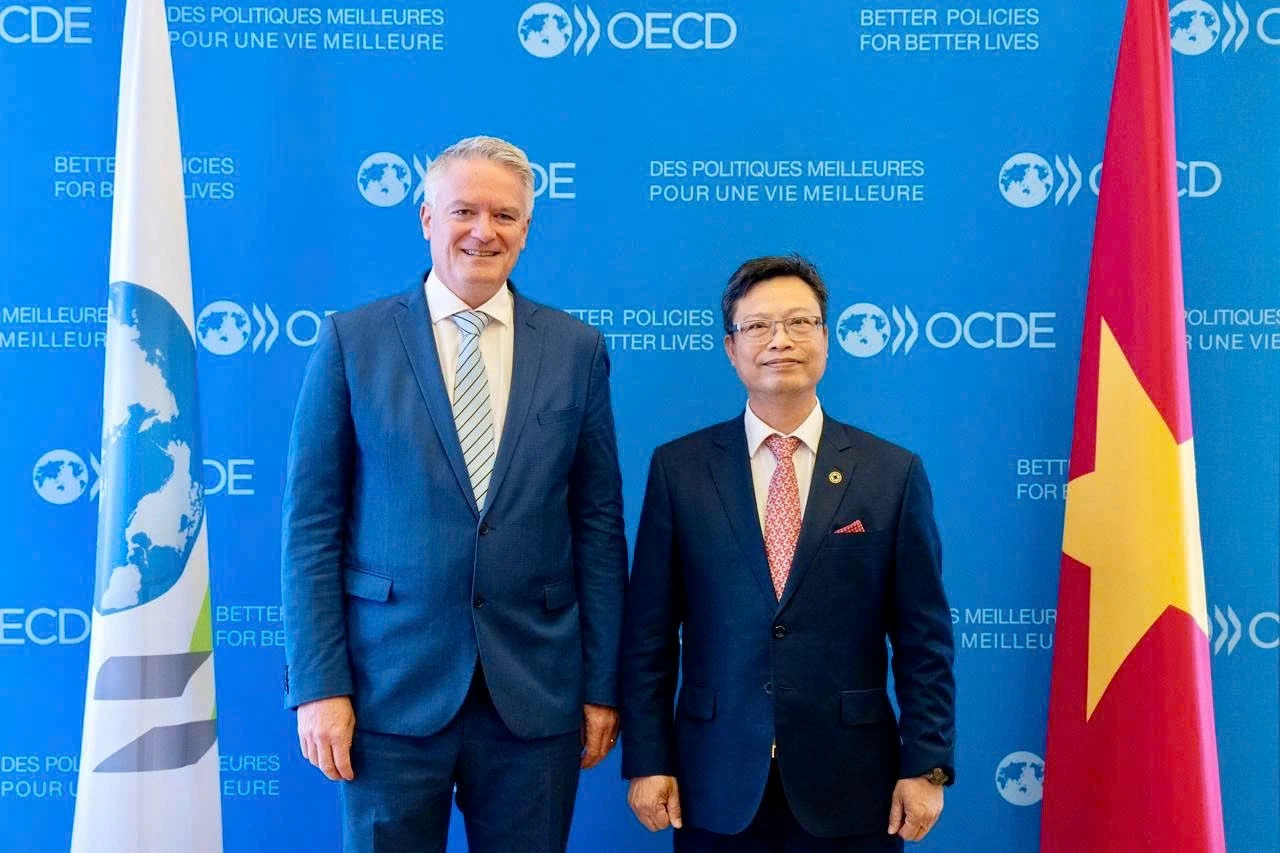 Canada highly values Vietnam's role in Southeast Asia: Ambassador