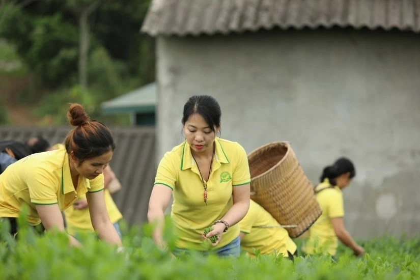 sạhfaskj sạhfaskj