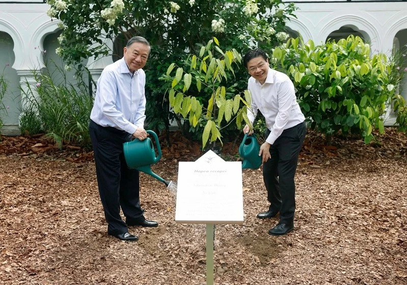 Vietnams top leader, Singapore PM plant tree at Singapore Botanic Gardens Vietnams top leader, Singapore PM plant tree at Singapore Botanic Gardens