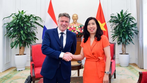 Vietnam, Netherlands hold political consultation to expand cooperation in strategic areas