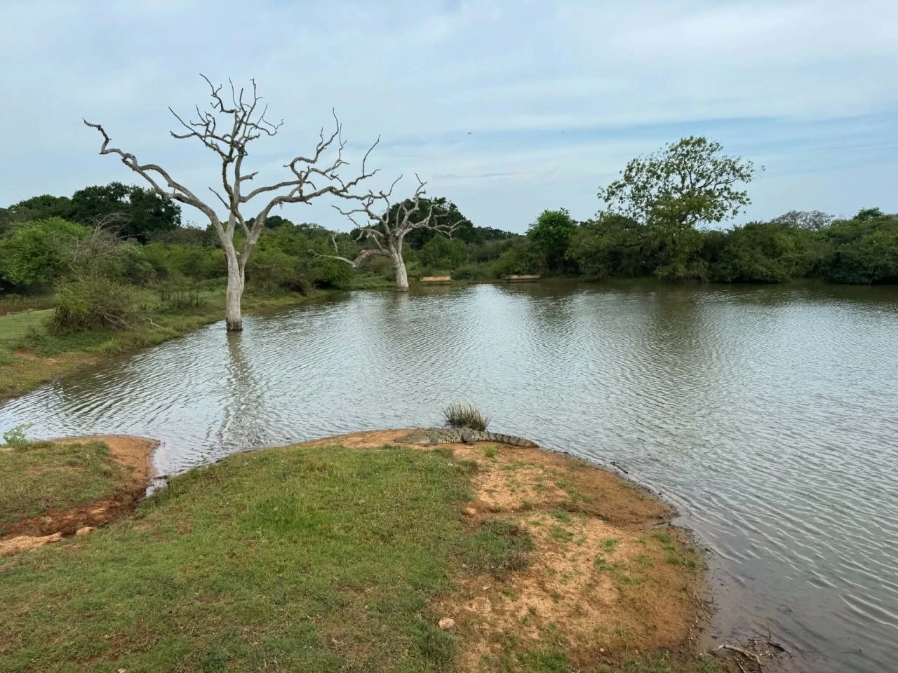 Sri Lanka – When gentleness becomes identity