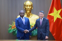 Prime Minister Le Minh Hung receives Angolan Foreign Minister Téte António
