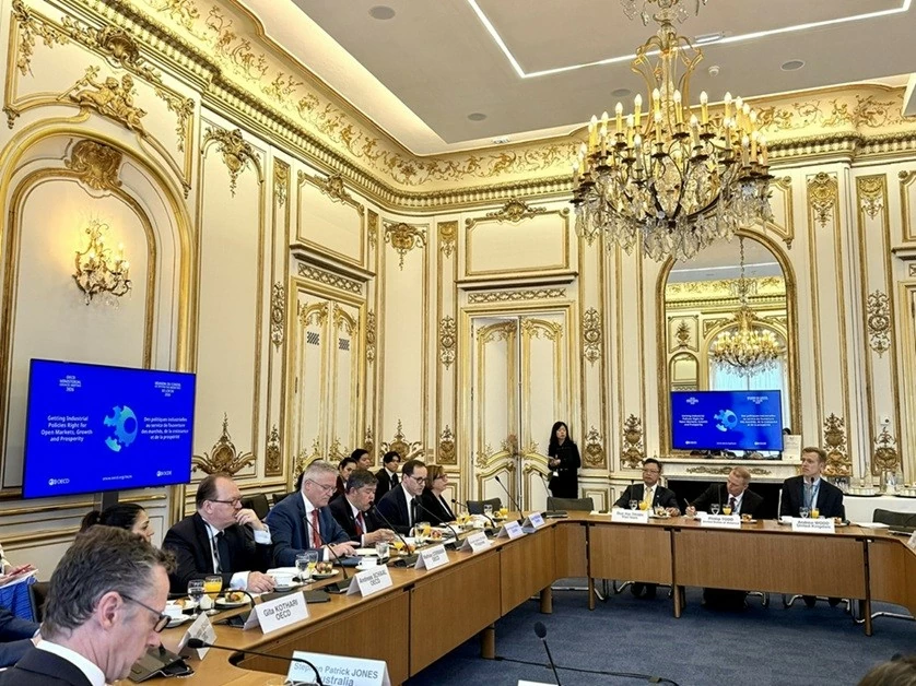 Ambassador Trinh Duc Hai attends regional dialogues on the occasion of OECD Ministerial Council Meeting