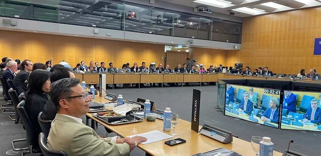 Ambassador Trinh Duc Hai attends regional dialogues on the occasion of OECD Ministerial Council Meeting