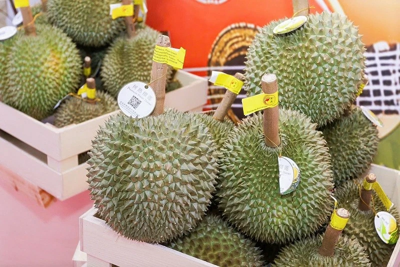 ASEAN fruits gather in Guangxi (China) ASEAN fruits gather in Guangxi (China)
