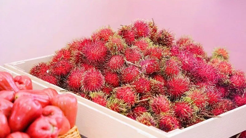 ASEAN fruits gather in Guangxi (China)