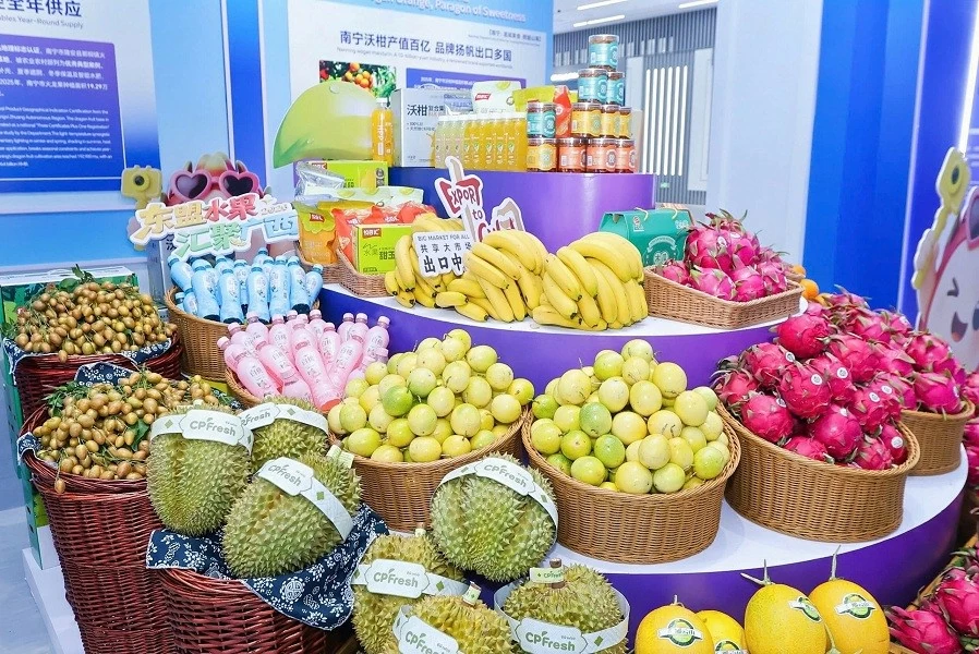 Ambassador Pham Thanh Binh: New key area of cooperation in Vietnam-China relations