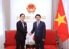 Deputy FM Le Anh Tuan: Continued legal consultations deepen Vietnam-Japan relations