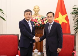 Foreign Minister Le Hoai Trung receives Indian Ambassador Tshering Sherpa