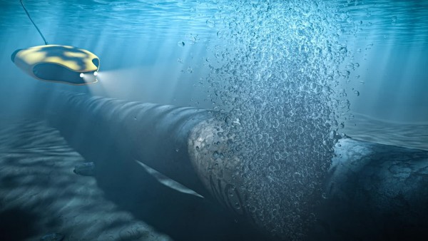 Vụ nổ đường ống Nord Stream: Nhà điều hành Nga thua kiện đòi bồi thường bảo hiểm 580 triệu Euro, phán quyết gây tiền lệ nguy hiểm?
