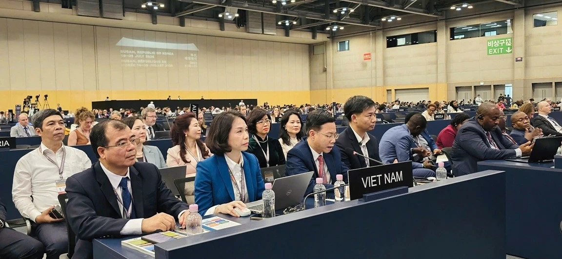 Vietnam promotes international cooperation in heritage conservation and cultural connectivity at 48th Session of the World Heritage Committee Vietnam promotes international cooperation in heritage conservation and cultural connectivity at 48th Session of the World Heritage Committee