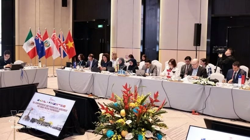 CPTPP strengthens free trade, expands global economic connectivity: Experts
