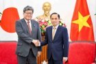 Foreign Minister Le Hoai Trung receives Acting Secretary-General of Japan's Liberal Democratic Party Hagiuda Koichi