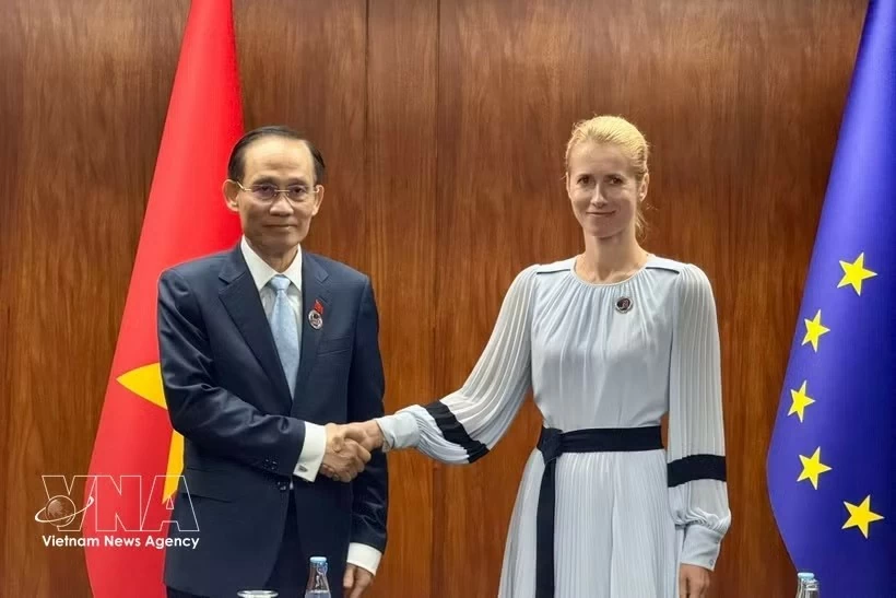 AMM 59: Vietnam proposes substantive, sustainable ASEAN-EU ties