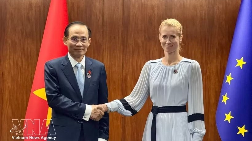 AMM 59: Foreign Minister Le Hoai Trung attends ASEAN-EU PMC, proposes substantive and sustainable ASEAN-EU ties