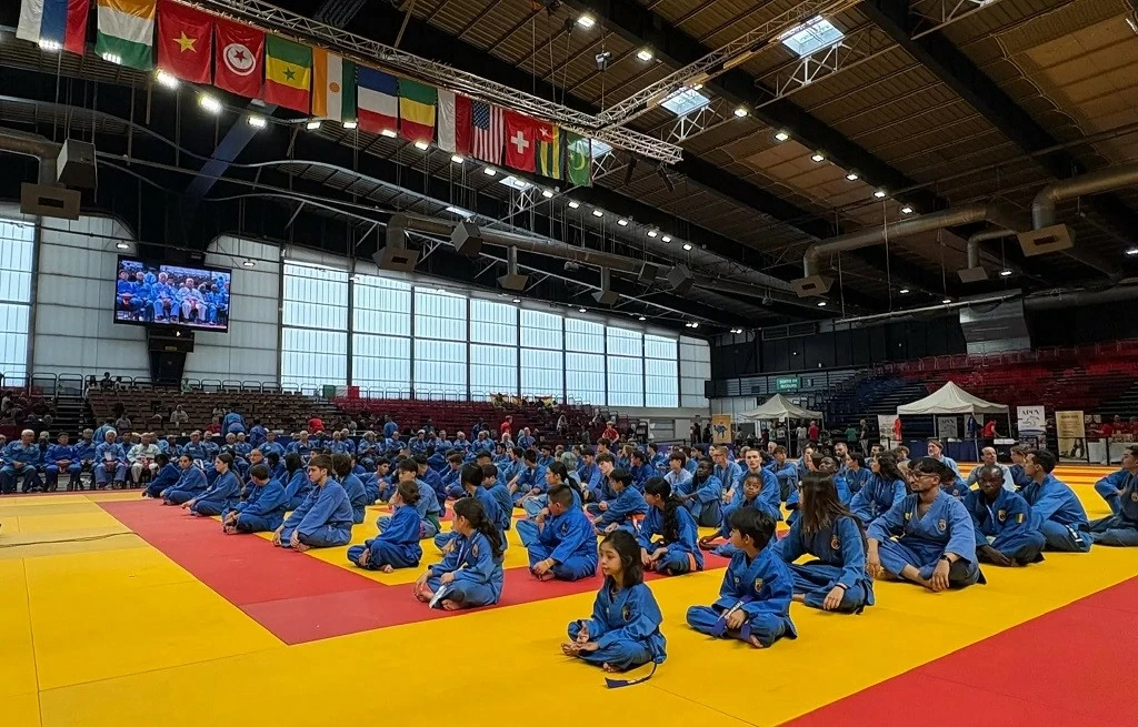 Artist Quyen Linh shares story of the persistent figure bringing Vovinam to the world